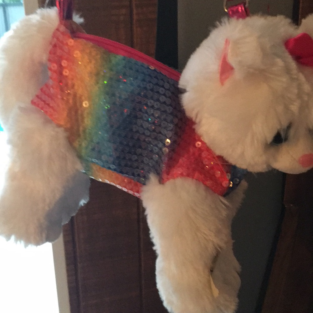 Rainbow kitty bag